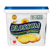 Blossom Lite Fat Spread Tub 1kg