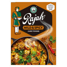 RAJAH CURY POWDER 100G MILD & SPICY